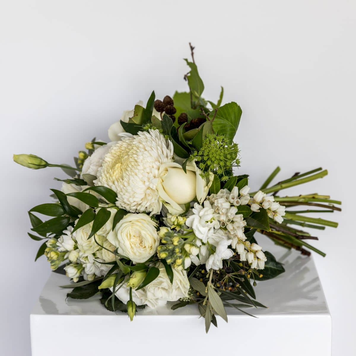 Signature Posy Botanical Hobart Florist