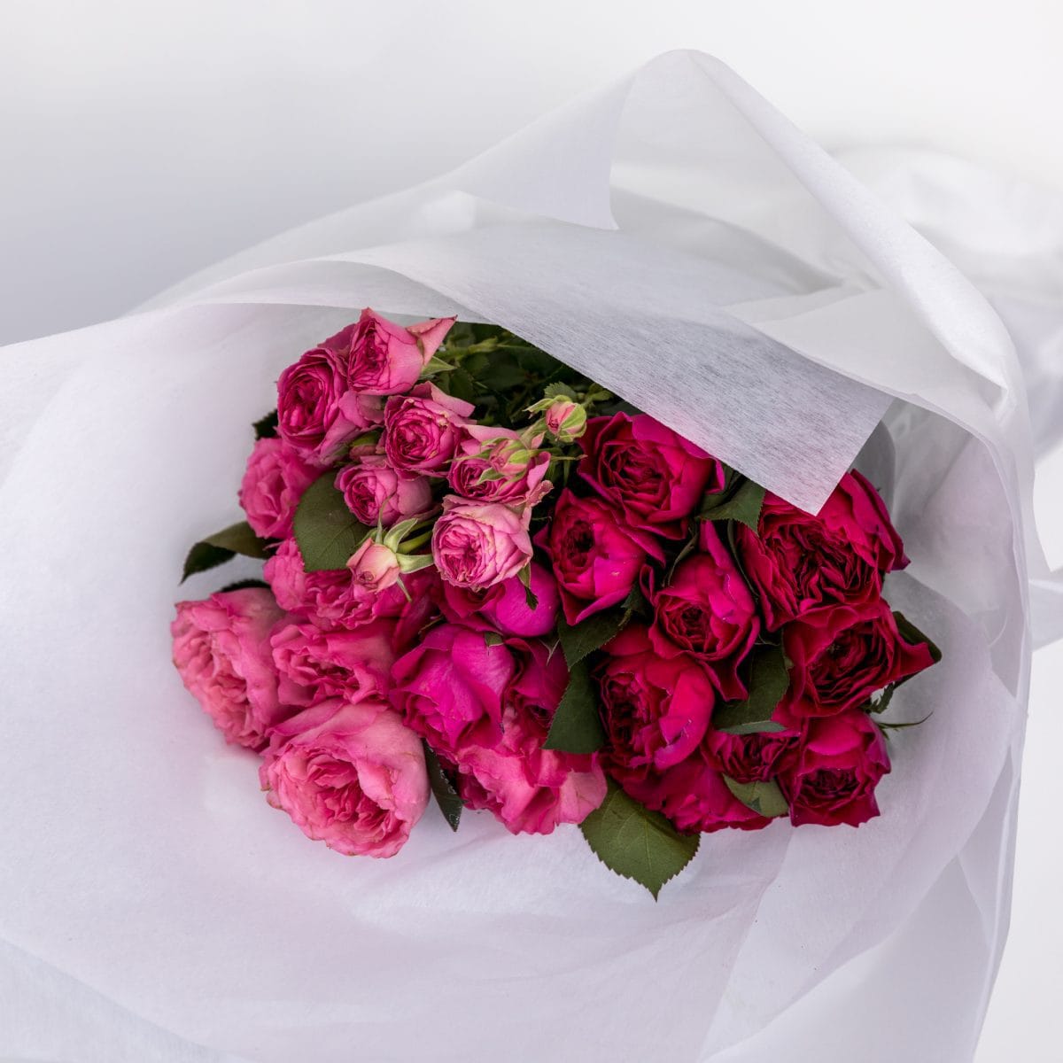 Roses Botanical Hobart Florist