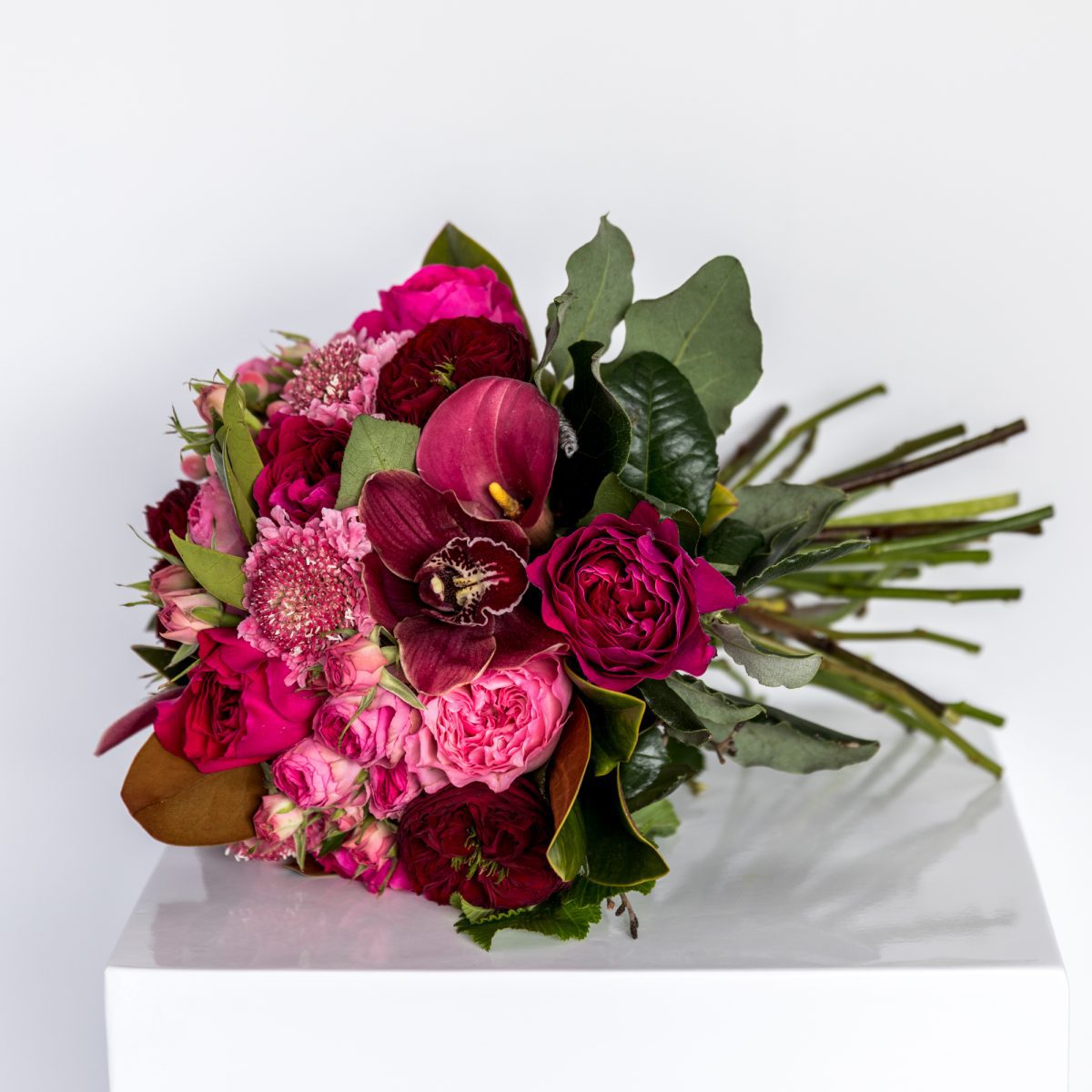 Signature Posy Botanical Hobart Florist