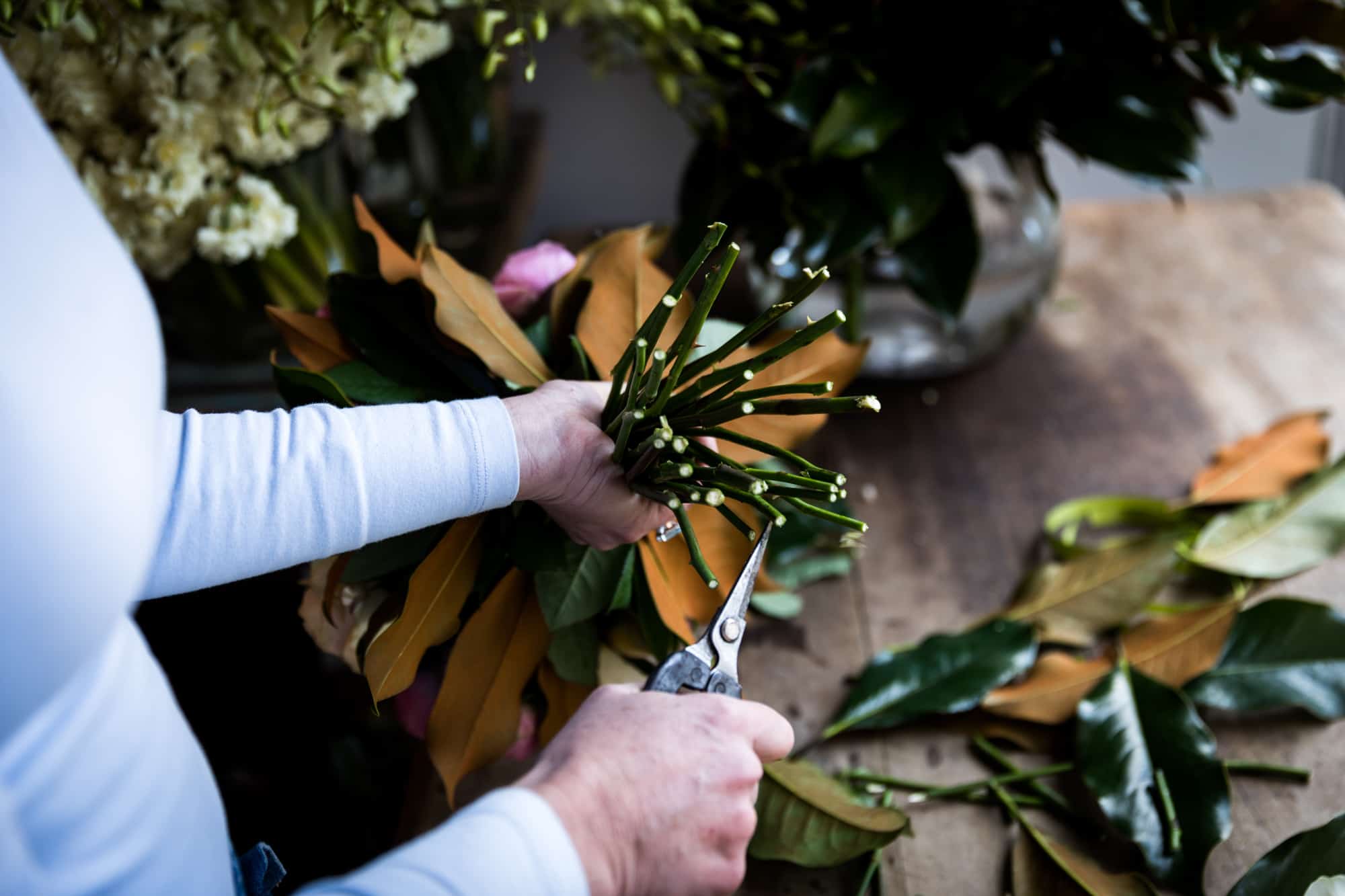 Botanical Hobart Florist