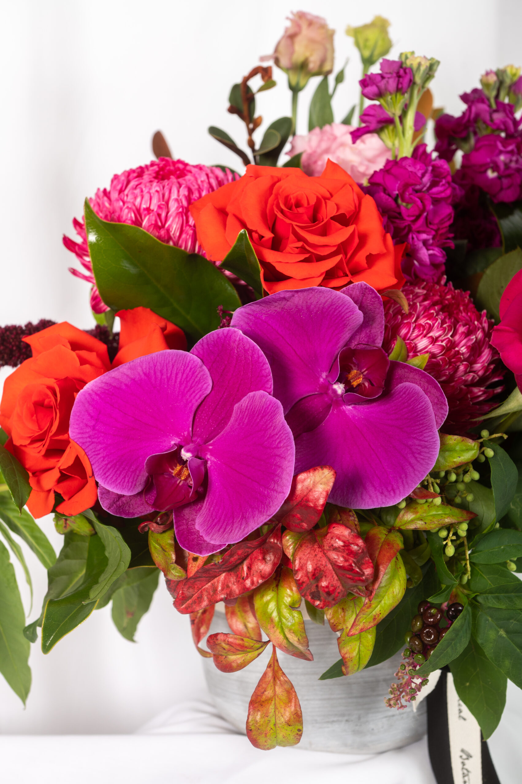 Botanical Kate Sice