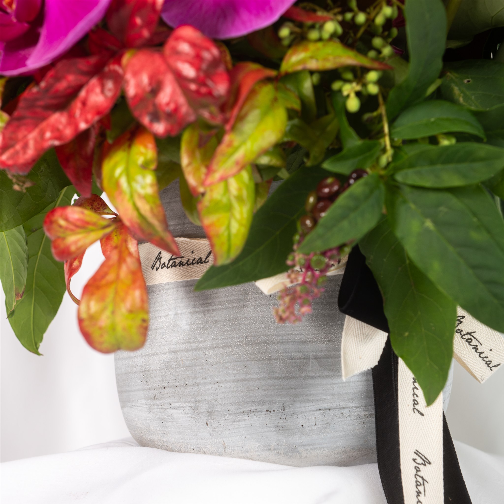 Botanical Kate Sice