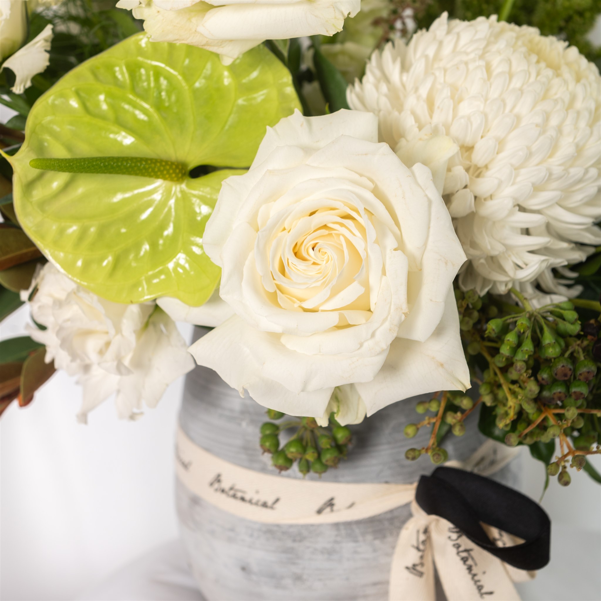 Botanical Kate Sice