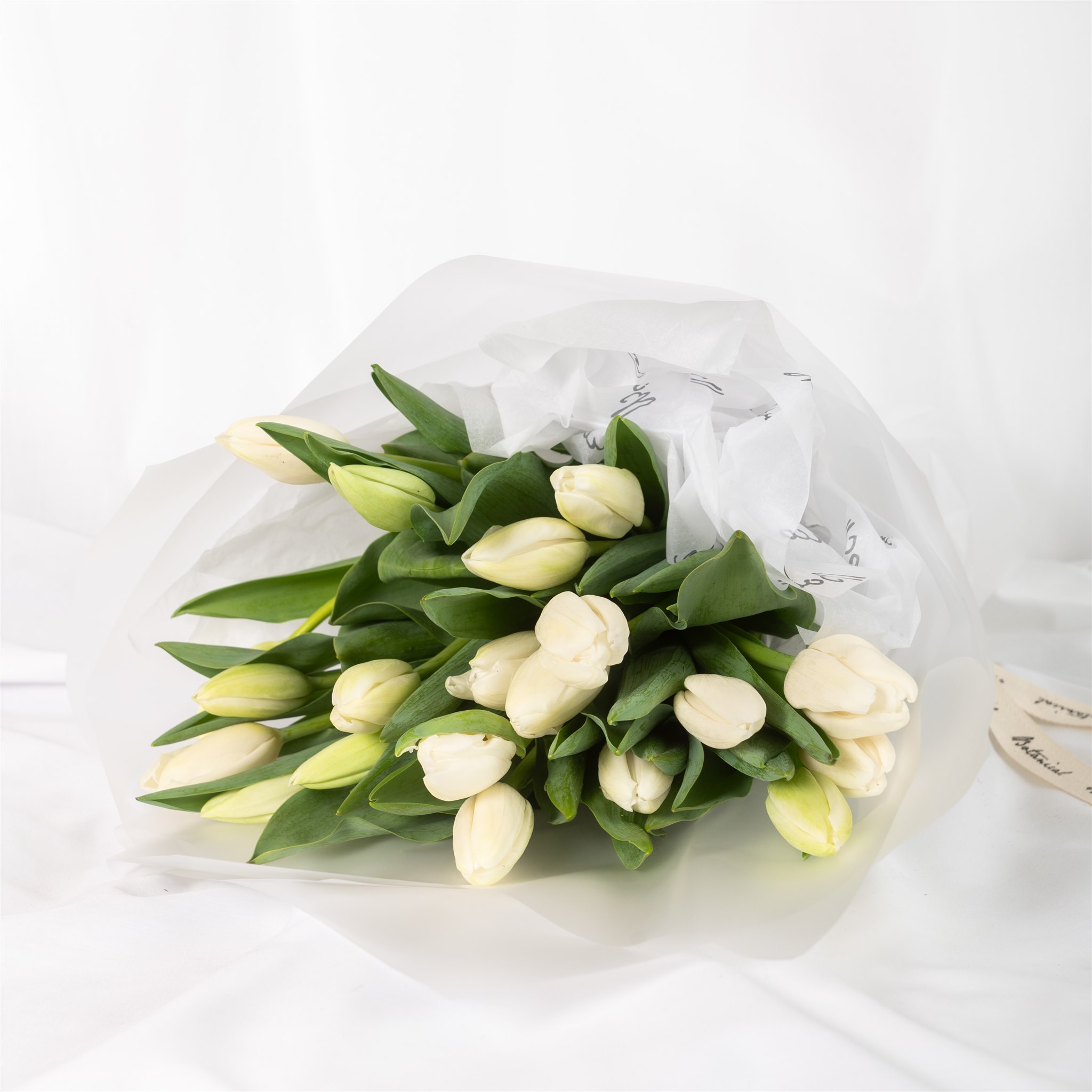 Botanical Kate Sice