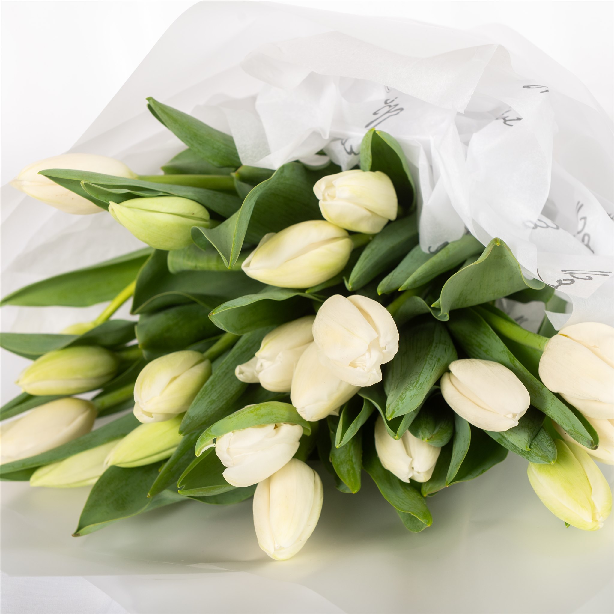 Botanical Kate Sice